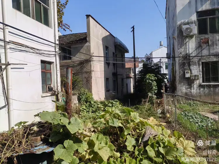 义乌市江湾村随拍